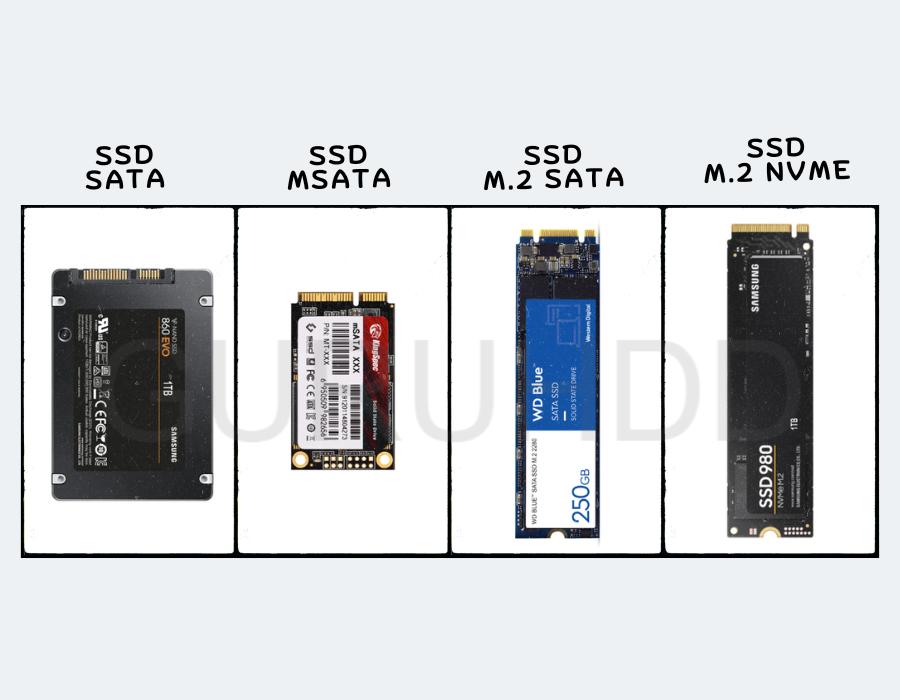 Kesulitan Memilih tipe SSD! Perhatikan Perbedaan SSD SATA, Msata, M.2 SATA, dan M.2 NVMe